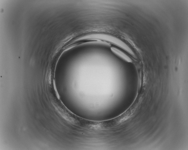 X0000086080068200703231415