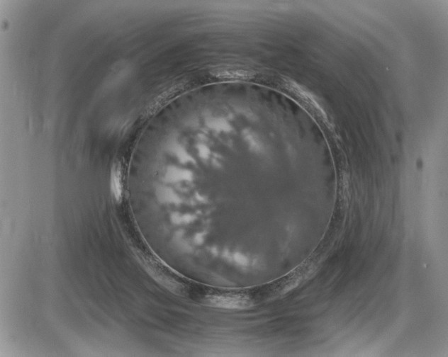 X0000086080069200703231415