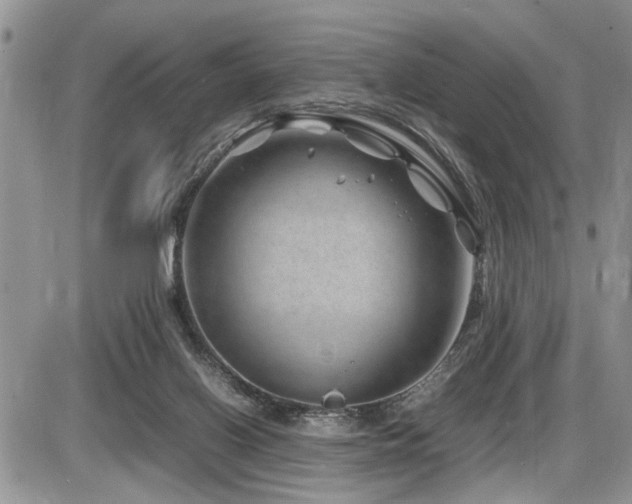 X0000086080070200703231415