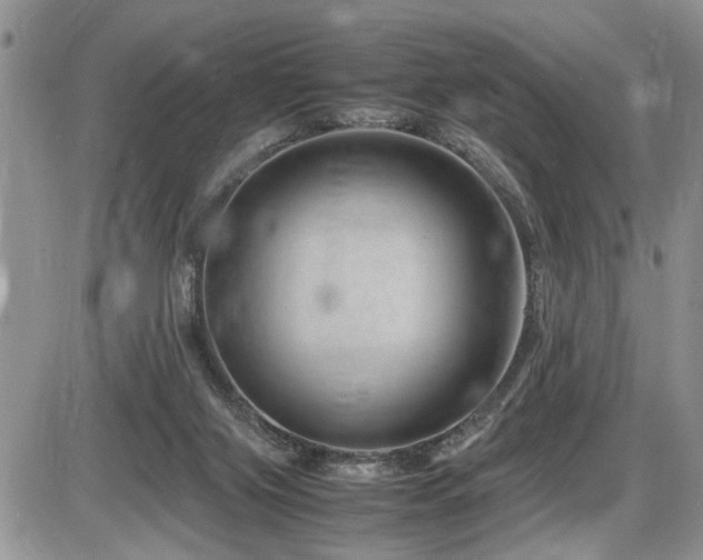 X0000086080071200703231415