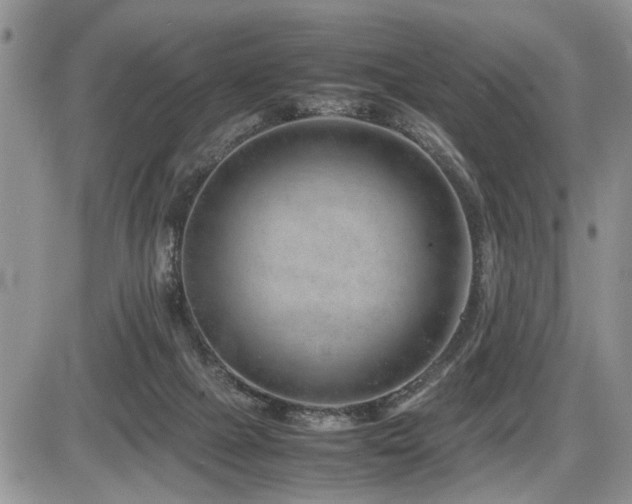 X0000086080073200703231415