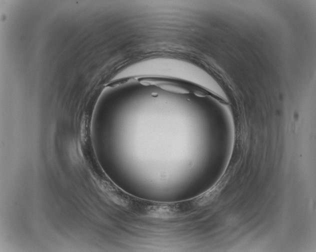 X0000086080074200703231415