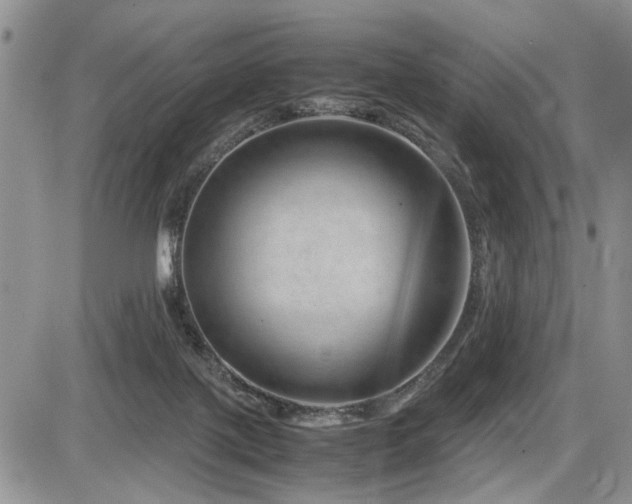 X0000086080075200703231415