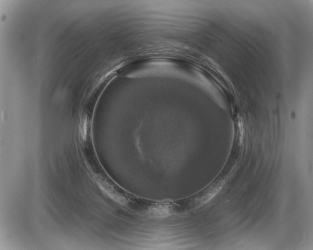 X0000086080076200703231415