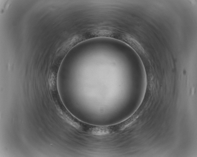 X0000086080077200703231415