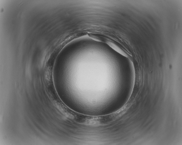 X0000086080078200703231415