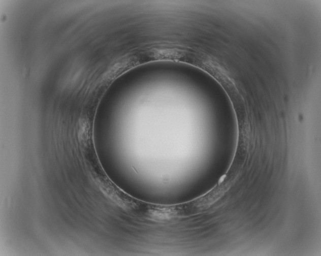 X0000086080079200703231415