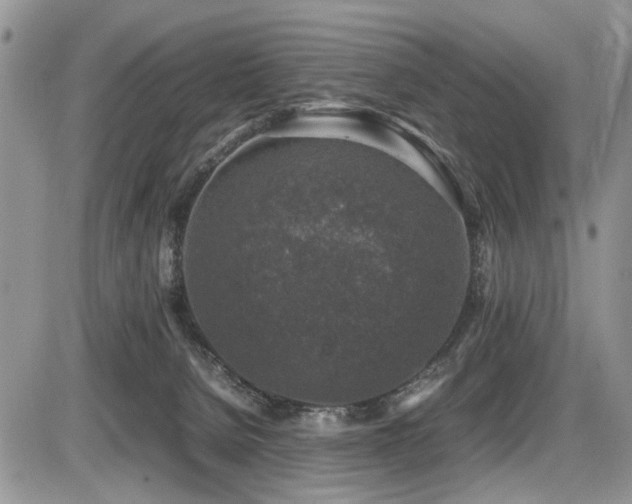 X0000086080080200703231415