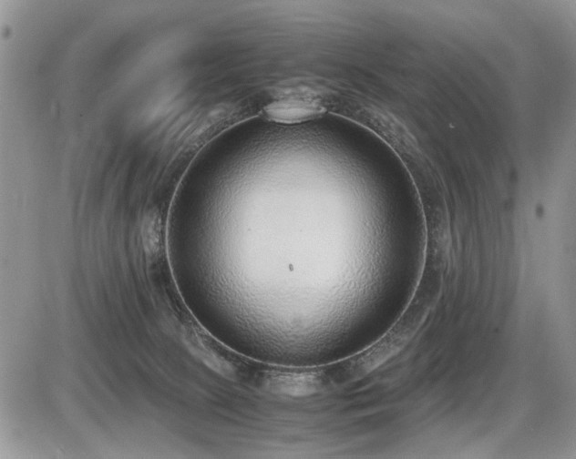 X0000086080081200703231415