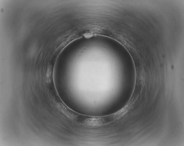 X0000086080082200703231415