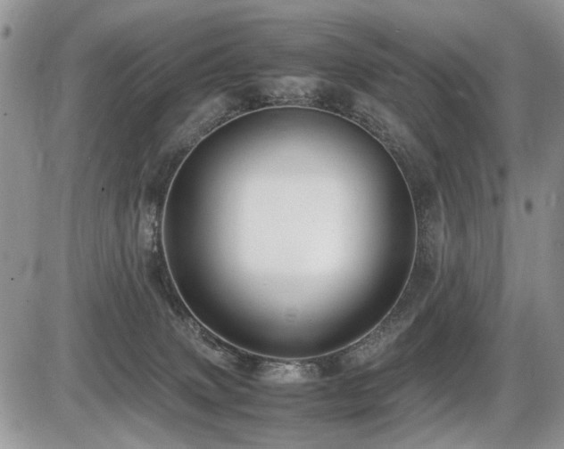 X0000086080083200703231415