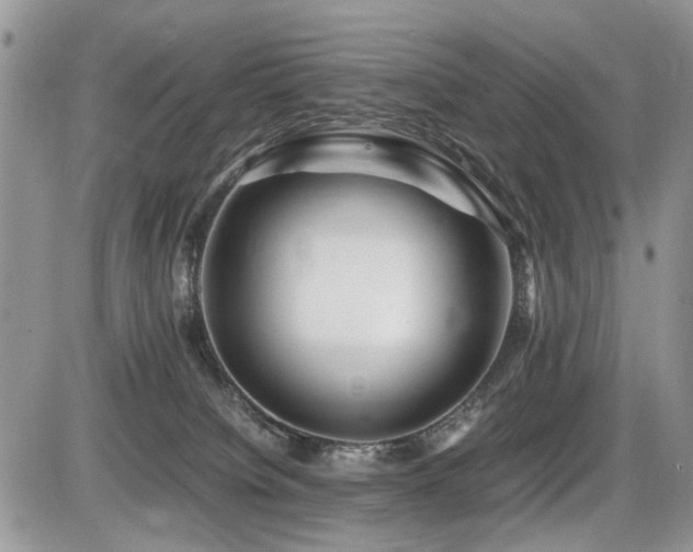 X0000086080084200703231415