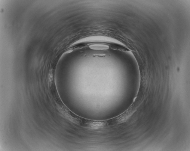 X0000086080085200703231415