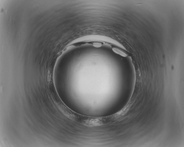 X0000086080086200703231415