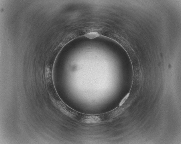 X0000086080087200703231415