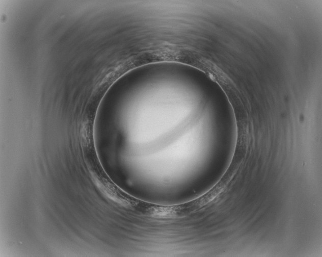 X0000086080088200703231415