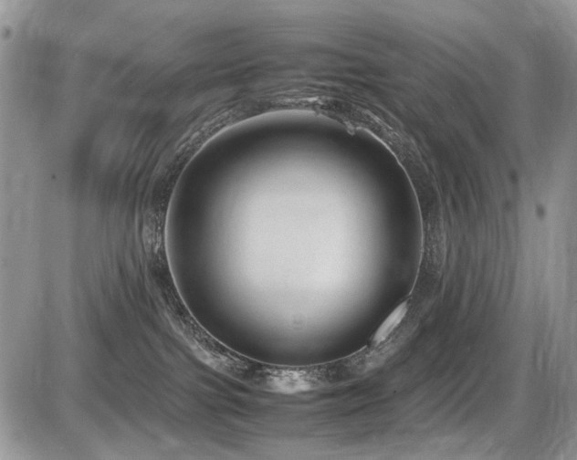 X0000086080091200703231416