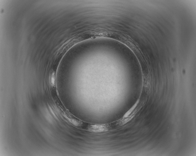 X0000086080095200703231416