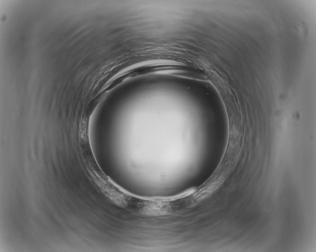 X0000086080096200703231416