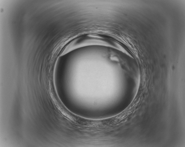 X0000086080097200703231415