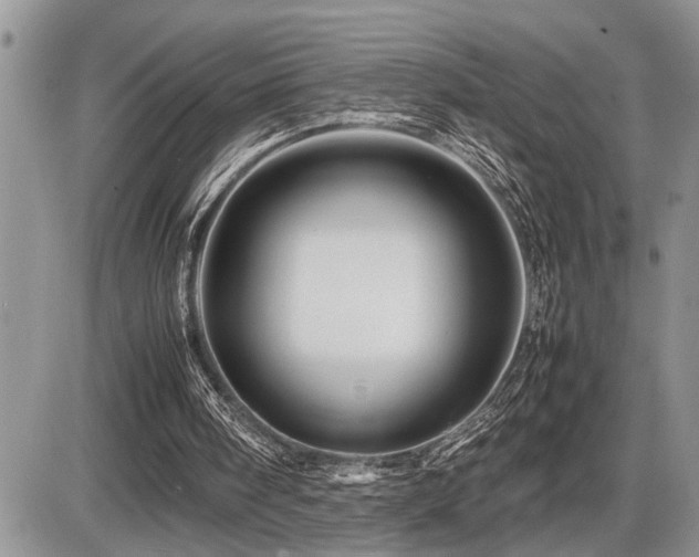 X0000086080098200703231415