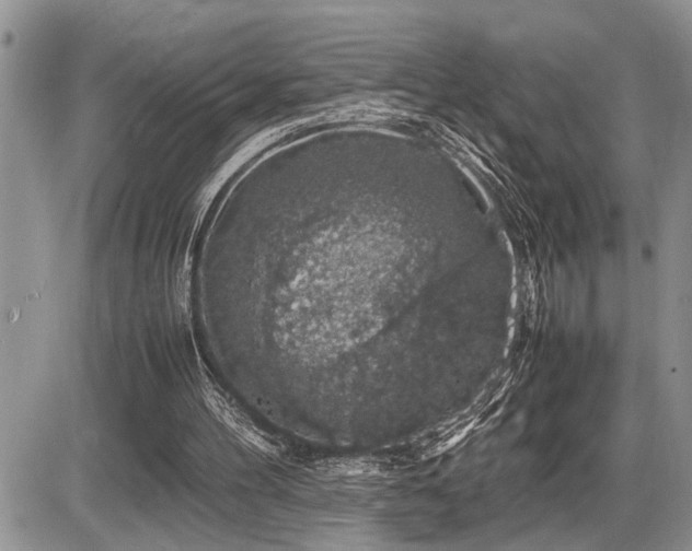 X0000086080100200703231415