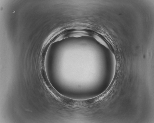 X0000086080101200703231415