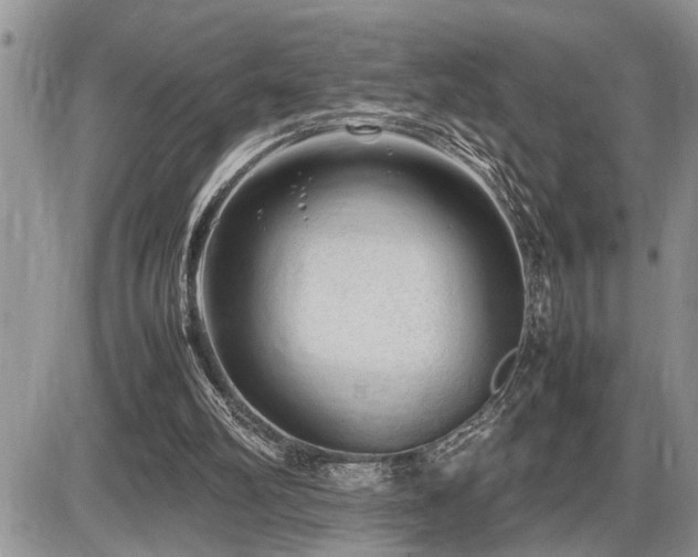 X0000086080102200703231415