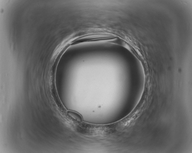 X0000086080103200703231415