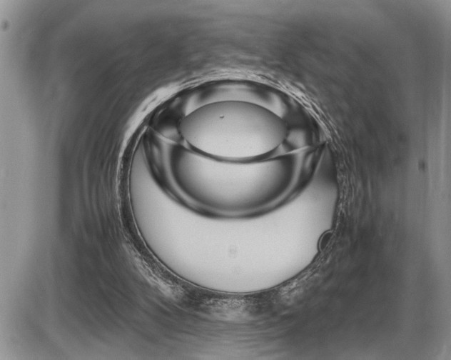 X0000086080104200703231415