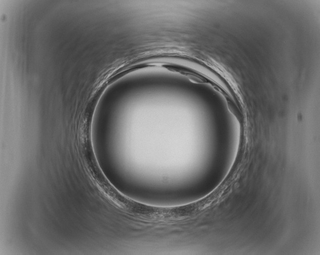 X0000086080105200703231415