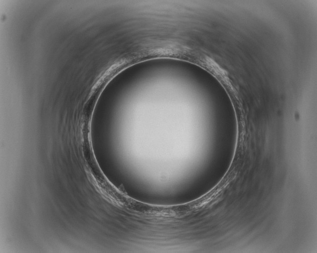 X0000086080106200703231415