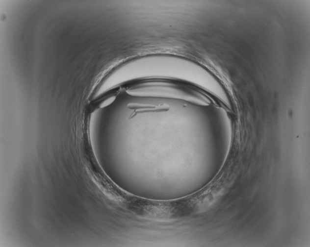 X0000086080107200703231415