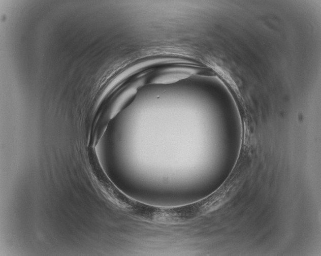 X0000086080109200703231415