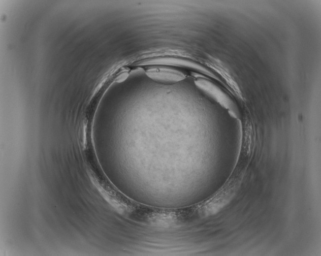 X0000086080110200703231415