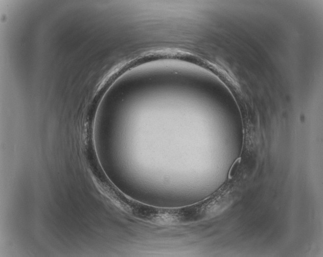 X0000086080111200703231415