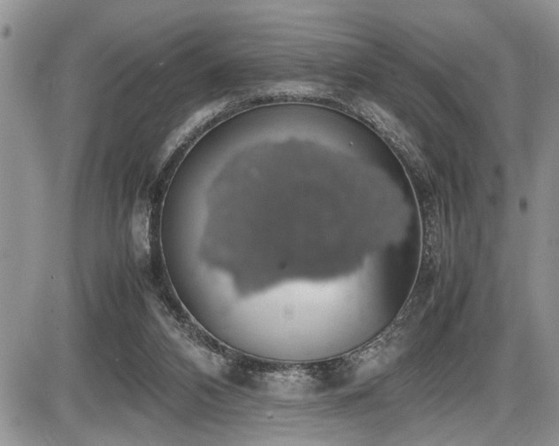 X0000086080112200703231415