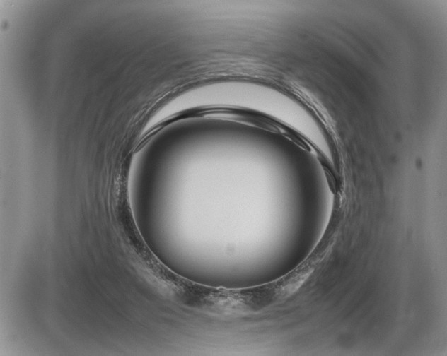 X0000086080113200703231415