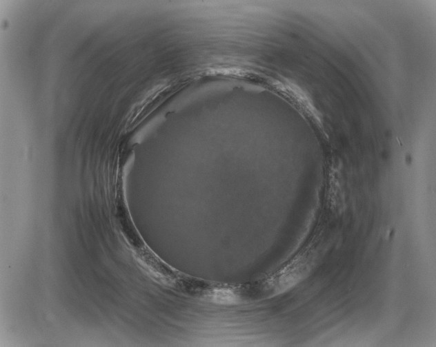 X0000086080114200703231415