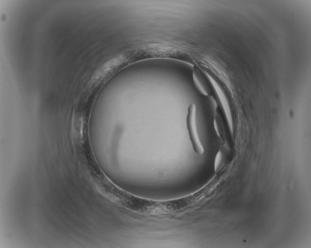 X0000086080115200703231415