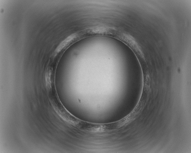 X0000086080116200703231415