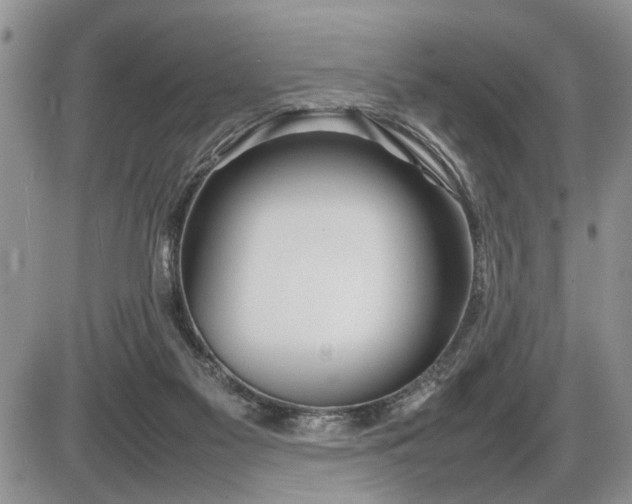 X0000086080117200703231414