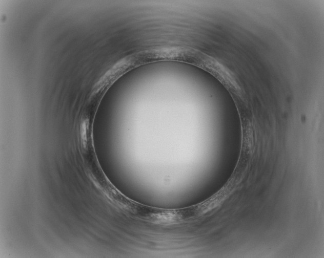 X0000086080118200703231414