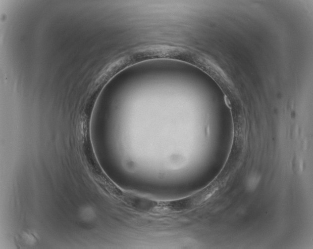 X0000086080119200703231414