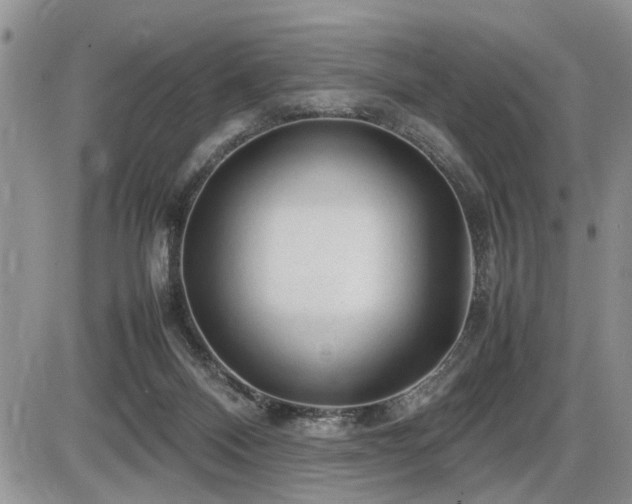 X0000086080120200703231414