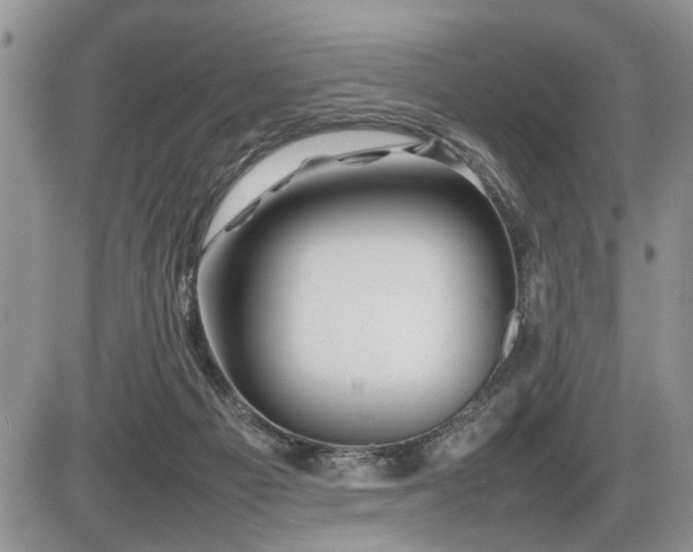 X0000086080121200703231414