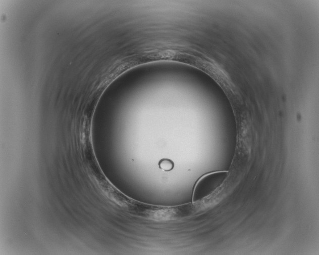 X0000086080122200703231414