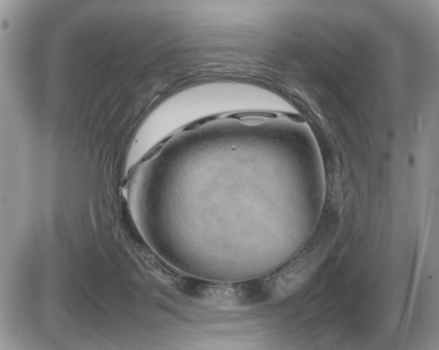 X0000086080123200703231414