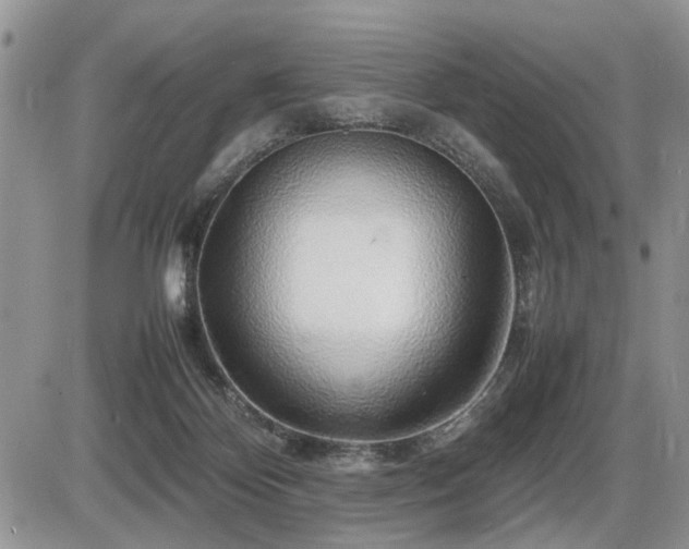 X0000086080124200703231414