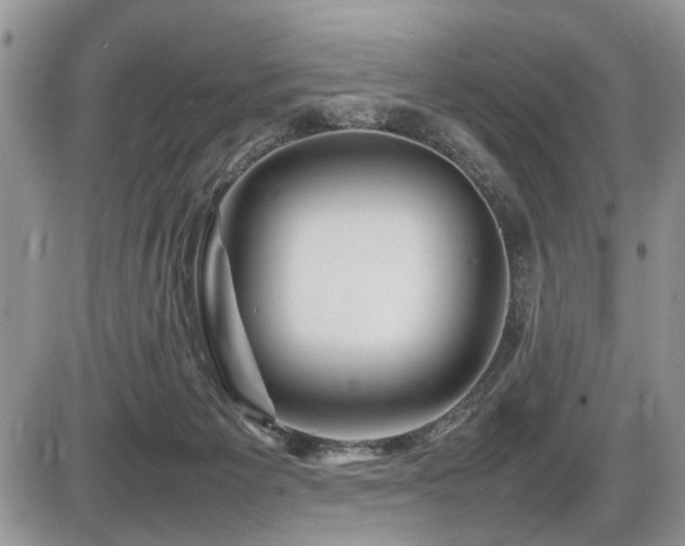 X0000086080125200703231414